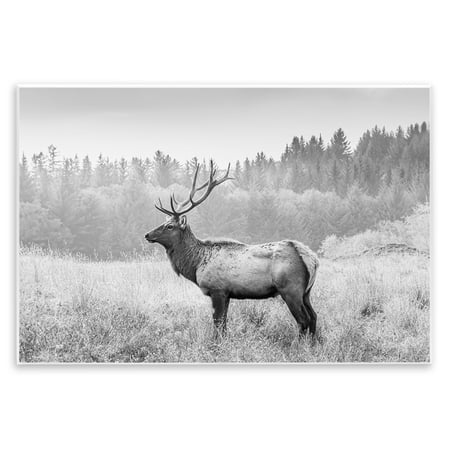 Stupell Industries Stoic American Elk Landscape & Nature Photography Unframed Art Print Wall Art 19 x 13
