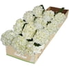 Image thumbnail_image