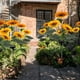 thumbnail image 4 of Luces De Estaca De Jardín Solar Al Aire Libre Led Luz De Girasol Alimentada Por Energía Solar Luces Decorativas Solares Impermeables Para Jardín Patio Trasero Guardurnaity HA035994-00, 4 of 6