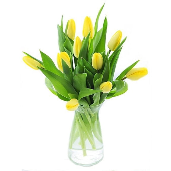 KaBloom : Bouquet of Fresh Yellow Tulips with Vase, Next-Day Delivery, Gift for Every Occasion
