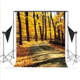 thumbnail image 1 of BSDHOME Polyester Autumn Fall Scenery Photo Booth Natural Forest Scenic Backdrops Falls Road Props for Fotografia Professional Photography Background 5x7ft, 1 of 4