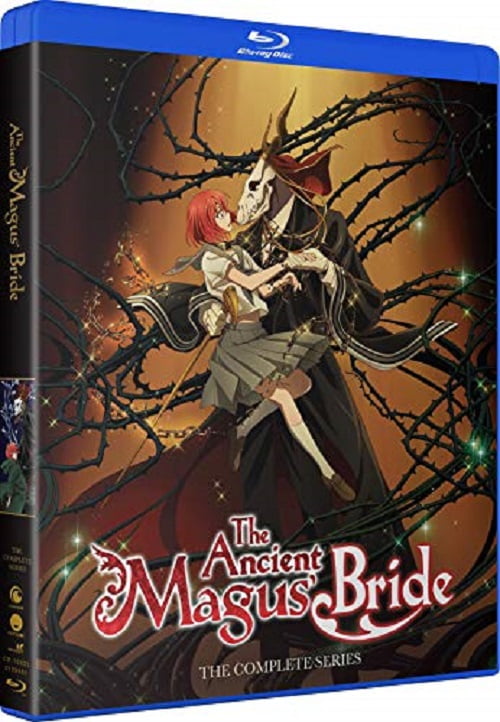 Uni Filter Funimation Productions Ancient Magus Bride: The Complete Series (Blu-Ray)