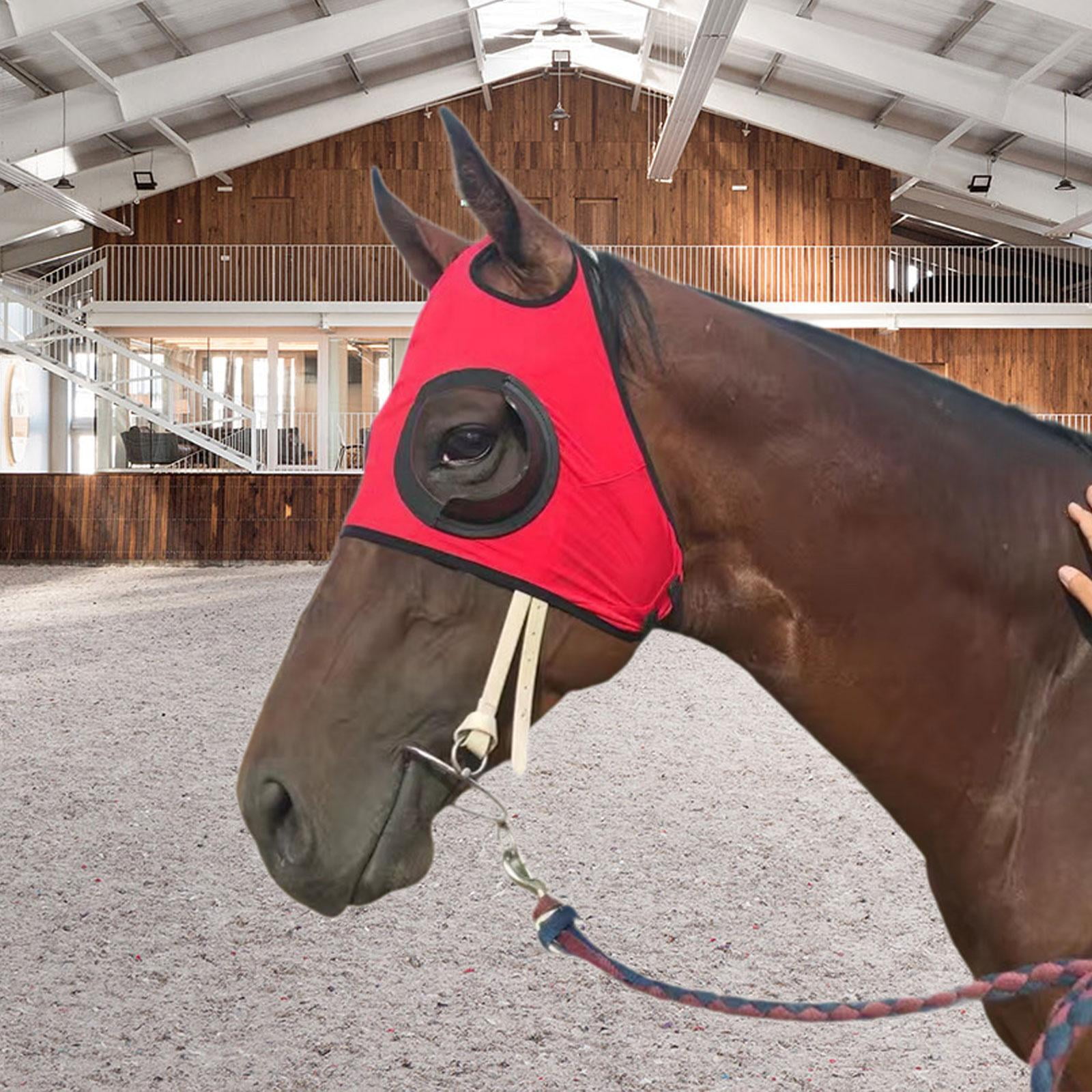 Wswqop Horse Goggles Equestrian Glasses Premium Equipment Replaces Breathable Windproof Red