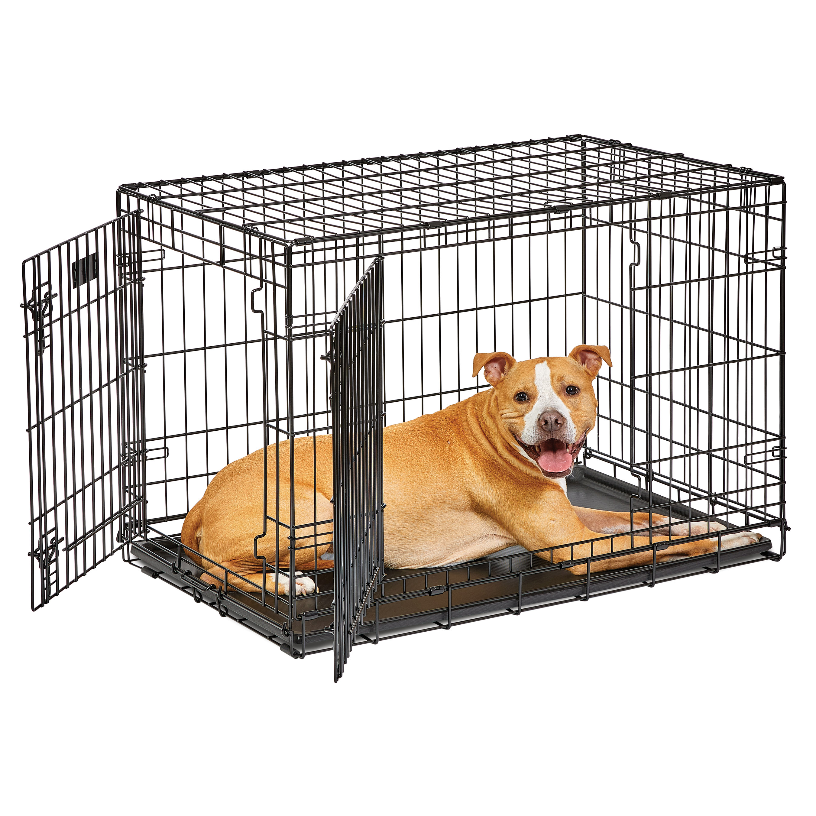 MidWest Homes for Pets Medium Dog Crate Newly Enhanced LifeStages 36' Double Door Folding Metal Dog Crate with Divider Panel, Floor Protecting Feet & Dog Pan, 1636DDU, 37.26L x 24.76W x 26.31H Inches - image 2 of 10
