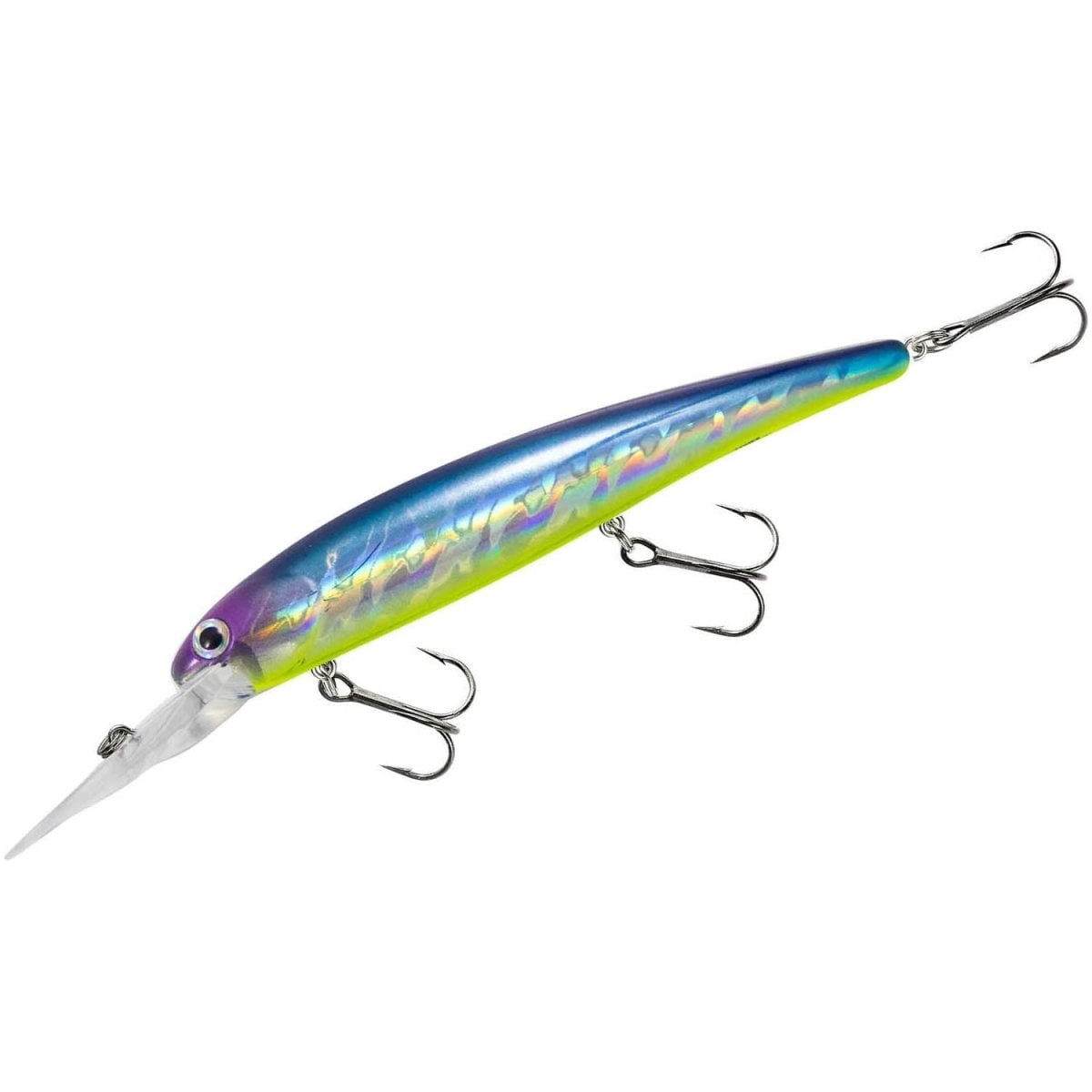 best fishing poles for fishing in the sound Best Mooching Rod for Puget Sound Salmon