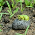 thumbnail image 3 of Top Collection Miniature Fairy Garden and Terrarium Statue, Sleeping Cute Frog on Stone, 3 of 4