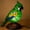 Green, variant on CaiYueKe Bird Animal Table Lamp Resin Craft Decor Night Light Desk Lamp Home Office Decoration Gift for Nature Lovers Decorative Accent Light Sculpture Art Piece LED Lamp