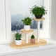 thumbnail image 1 of Soporte para plantas de 2 niveles, estante para flores, exhibidor para el hogar, la oficina y el jardín. Fabricado en metal resistente, diseño compacto, ideal para dormitorios, gran, 1 of 9