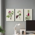 thumbnail image 6 of Pretty Pink Botanicals V Premium Gallery Wrapped Canvas - Ready to Hang - 32 x 48 Each, 6 of 10