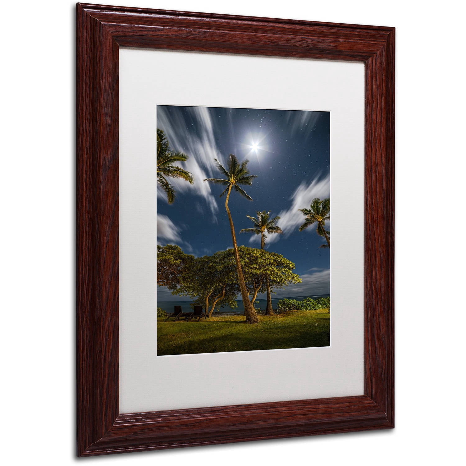 Trademark Fine Art 'Moonlit Palm Trees' Canvas Art by Pierre Leclerc, White Matte, Wood Frame