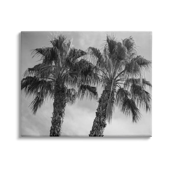 Stupell Industries Tall Tropical Palm Trees Black White Photography, 20 x 16,Design by Matheson