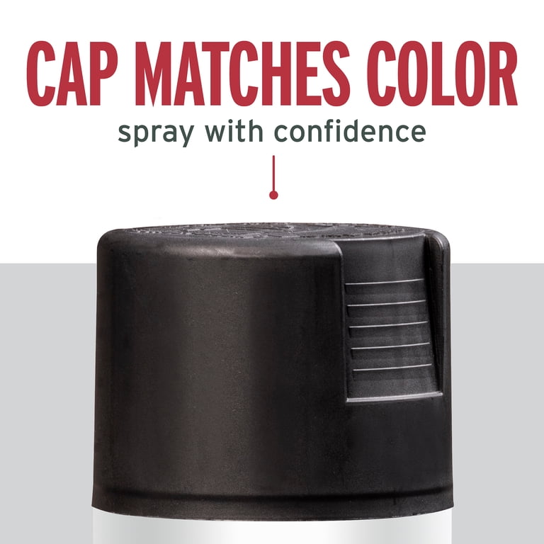 Rust-Oleum Stops Rust Protective Enamel Spray Paint, 12 oz, Black, Flat photo 6