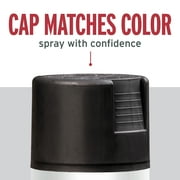 Black, Rust-Oleum Stops Rust Protective Enamel Flat Spray Paint-7776830, 12 oz