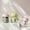 B, variant on Portable Fruit Veggie Cup with Built In fork Ice Leakproof Container for Kitchen Outdoor Indoor Use Acrylic Glassware Coastal Coffee Mugs Small Vacuum