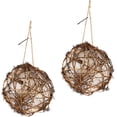 thumbnail image 2 of 2PCS Globe Hummingbird Nesters - 2024 New Handmade Birdhouse and Birdhouse Materials, Hummingbird Nesting Houses Set, Hanging Bird Nesters for Wild Birds, Ideal Gift for Bird Lovers (8cm/3.15in), 2 of 7