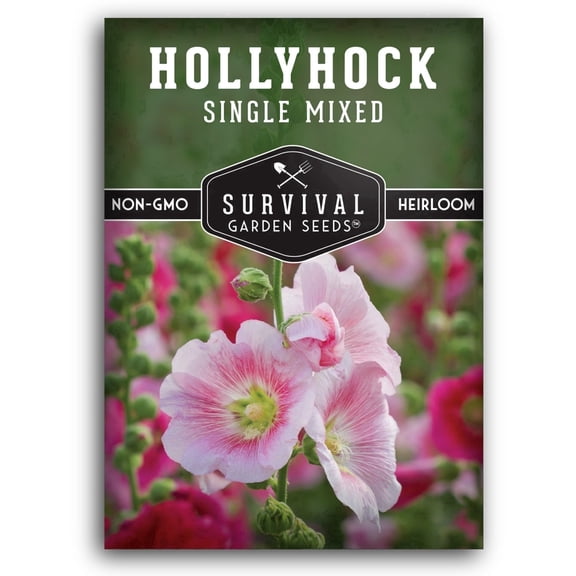 Single Mix Hollyhock Seeds - Full Sun Biennial Flower (1 Pack)