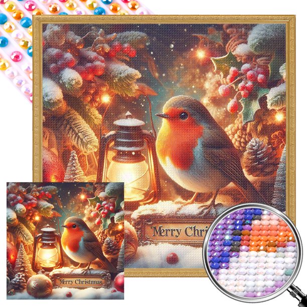 5D DIY Taladro Parcial AB Diamante Pintura Xnas Pájaro Kit Arte 45x45cm