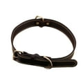 thumbnail image 1 of ROAM Premium Dog Collar - Adjustable Heavy Duty Nylon Collar with Quick-Release Metal Buckle, 1 of 5