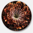 thumbnail image 1 of Designart Horloge Murale Moderne 'fleur Fractale Brune', 1 of 6