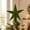 Green, variant on yuHome Christmas Tree Topper Star 3D Flocked Star Tree Top Ornament Holiday Tree Decorations for Home Party Christmas Tree Crown Decorative Star Christmas Supplies