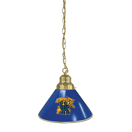 

Holland Bar Stool Co BL1 Sports Pendant Light