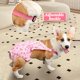 thumbnail image 5 of Pantalones menstruales para perras con tirantes Pañales menstruales para mascotas Braguitas sanitarias reutilizables para perros Ropa interior para mascotas, 5 of 5