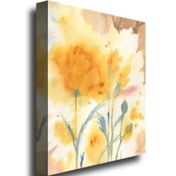 Trademark Art 'Golden Poppies' Canvas Art by Shelia Golden