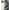White Titanium, variant on Restored Apple iPhone 15 Pro - Fully Unlocked - 128 GB Black Titanium (Refurbished)