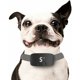thumbnail image 2 of Collar de entrenamiento para perros antiladridos recargable TUNC negro apto para todas las razas, 2 of 5