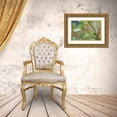 thumbnail image 3 of Berzel, Erin 18x13 Gold Ornate Wood Framed with Double Matting Museum Art Print Titled - Spring Leaves II, 3 of 4