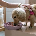 thumbnail image 5 of Dexypaws: Flower Slow Feeder - Blush Pink - Dog & Pet Mealtime Accessory, Fits Into Most 8" Bowls, Suction Base, Safe & Non-Toxic, Food-Grade Silicone, 5 of 7