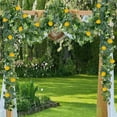 thumbnail image 6 of TanSiDing 1pcs Artificial Lemon Garland Spring Summer Faux Fruit Vine Garlands with Greenery for Door Wall Mantle Wedding Party Table Decorations 180cm, 6 of 6