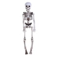 thumbnail image 2 of Esqueleto colgante ANGGREK de plástico para interiores Halloween, 2 of 8