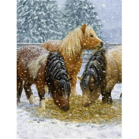 Shetland Ponies Flag Canvas House Size