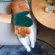 thumbnail image 3 of Accesorios Funcionales Para Gatos Y Perros Diseño Versátil Para Uso En Interiores Y Exteriores Materiales Plásticos Duraderos Para Las Actividades Cotidianas, 3 of 5