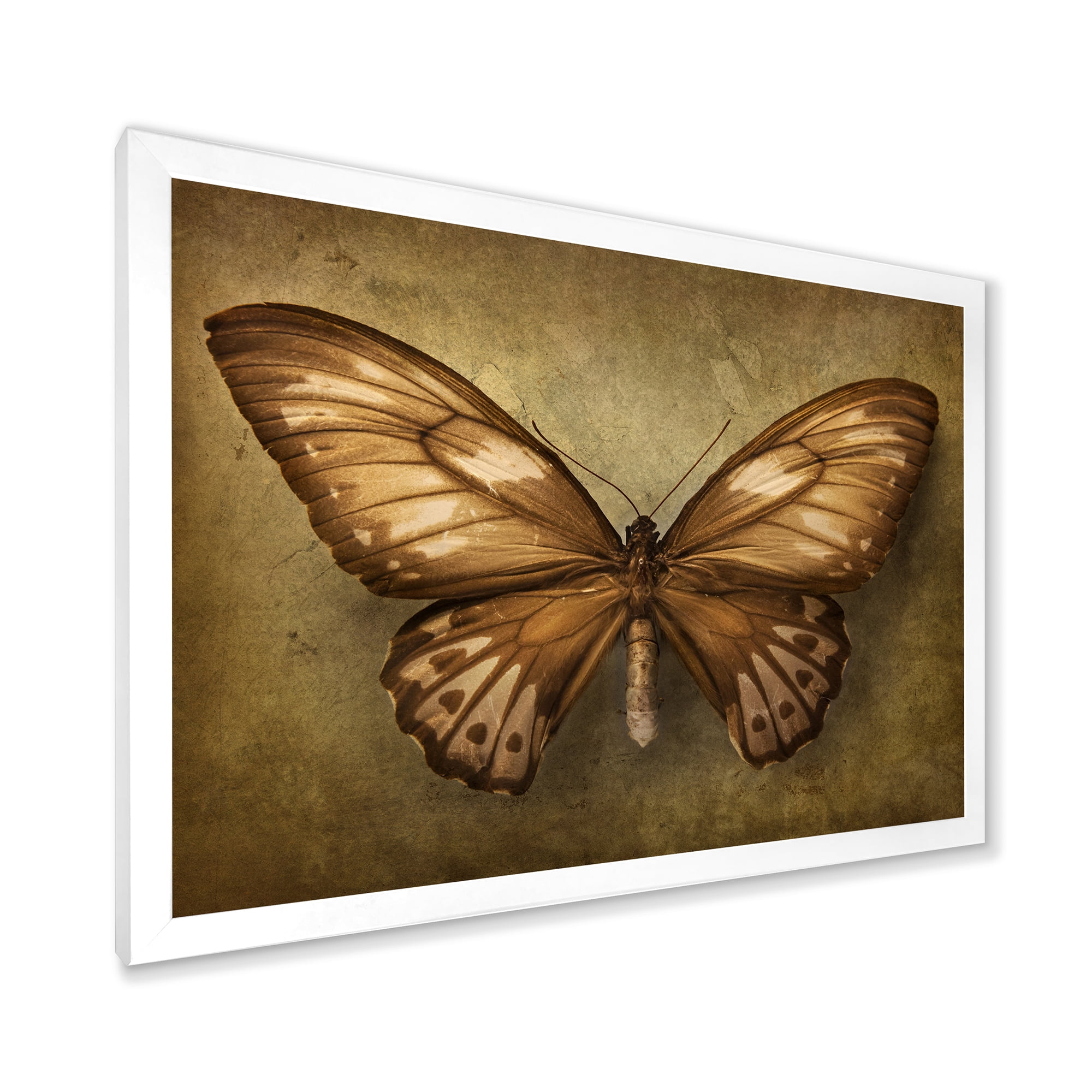 Designart 'Ancient Butterfly In Earth Tones' Vintage Framed Art Print