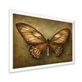 thumbnail image 2 of Designart 'Ancient Butterfly In Earth Tones' Vintage Framed Art Print, 2 of 4