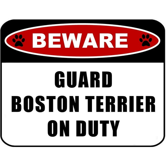 Beware Guard Boston Terrier on Duty (v2) 11.5 inch x 9 inch Laminated Dog Sign