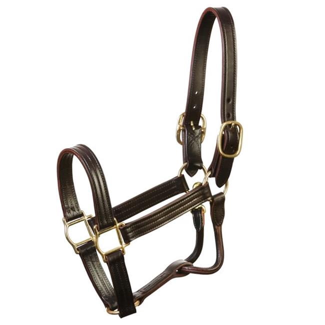Licou économique Tough 1 - Nylon 2 Plis 2,5 Cm - Matériel Plaqué Laiton - Boucle à La Couronne - Pour Chevaux