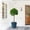 Antique Blue, variant on Noble House Kathleen Ceramic Flowerpot Set, Glossy Finish with Drainage for Versatile Planting, Set of 3, Antique Black