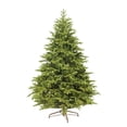 thumbnail image 1 of 9 Ft Mountain Spruce Tree, 1 of 1