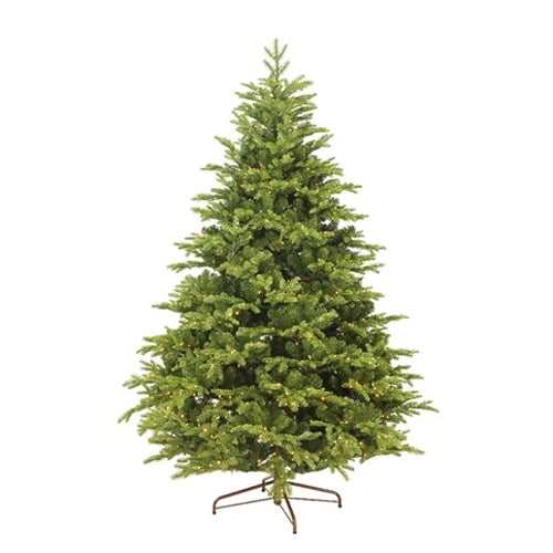 9 Ft Mountain Spruce Tree
