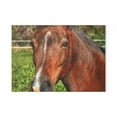 thumbnail image 2 of U R There Photography Irish Road Brownie Rustic Farmhouse Tempered-Glass Cutting Board 11"x 15", 2 of 9