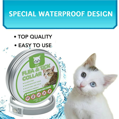 Cats Flea and Tick Collar Treatment Prevention Natural Essential Oil Adjustable Waterproof 8 Months