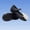 Black, variant on BXJX Girls Dress Shoes Size 11 Little Kids, Ankle Strap Non Slip Flat Heel Bow Kids Princess Shoes Beige