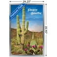 thumbnail image 3 of Cactus - Beautiful Wall Poster, 22.375" x 34", Framed, 3 of 5