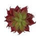 thumbnail image 5 of BRIGHTFUFU Cactus Suculentas Artificiales Realistas Pequeñas Plantas Suculentas Plásticas Sin Manchas para Decoración de Jardín (Marrón Rojizo), 5 of 7