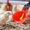 thumbnail image 4 of Chicken Drinking Cup, Poultry Waterer, 10Pcs Poultry Drinking Machine Automatic For Bird Sheep For Any Breed Of Poultry Chicken, 4 of 8