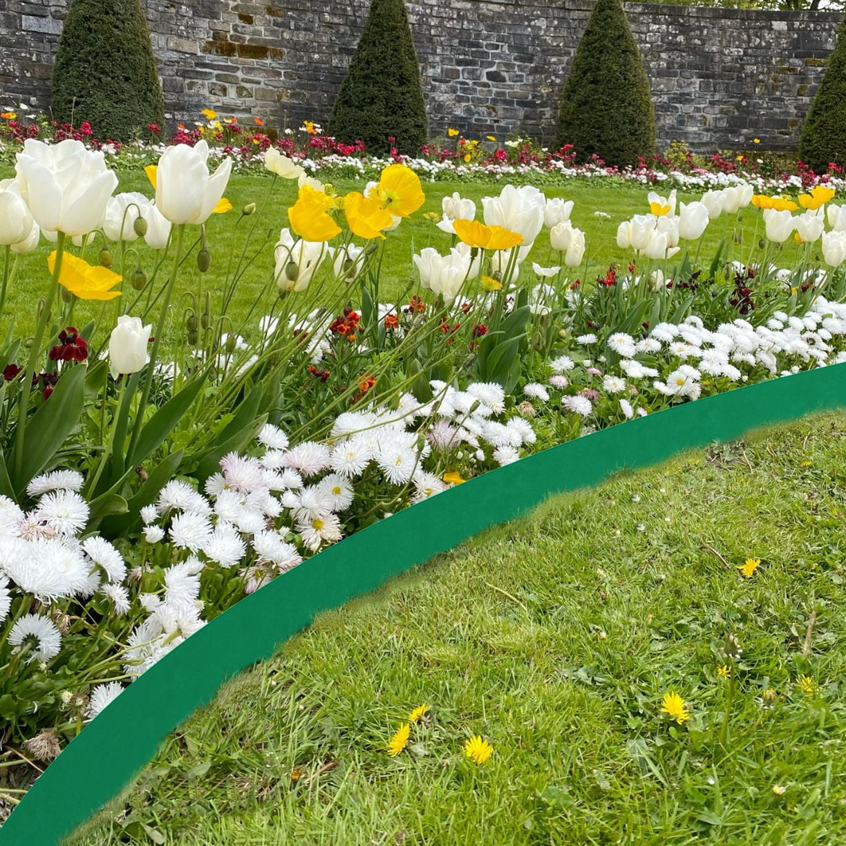 MAYEERTY 2 pcs Steel Landscape Edging, 42*8" Heavy Duty Steel Lawn Edging, Hammer Edging for Garden Borders, Green