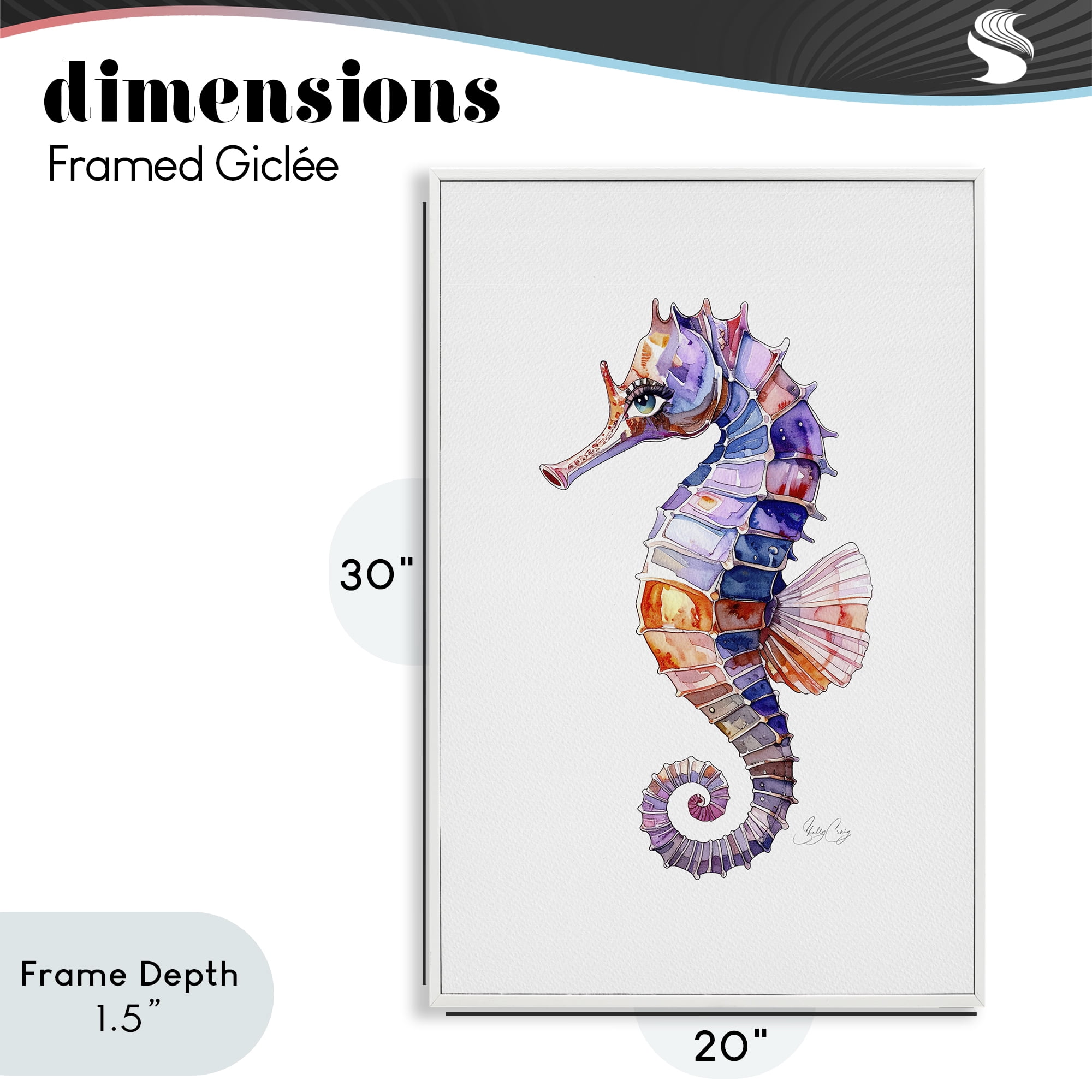Stupell Industries Sea Whisper Seahorse White Framed Giclee Art, design by Shelly Craig